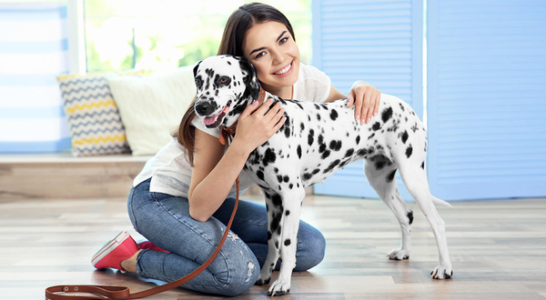 Keeping Your Furry Friend Healthy & Happy