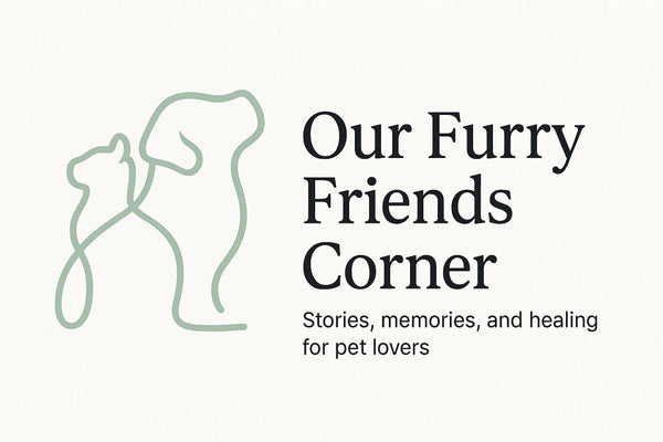 What I wish I'd Known: Melow's Story and a Warning to Pet Parents