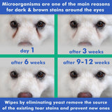 Comparison images showing eye improvement in dogs after 6, 9, and 12 weeks of using the wipes.