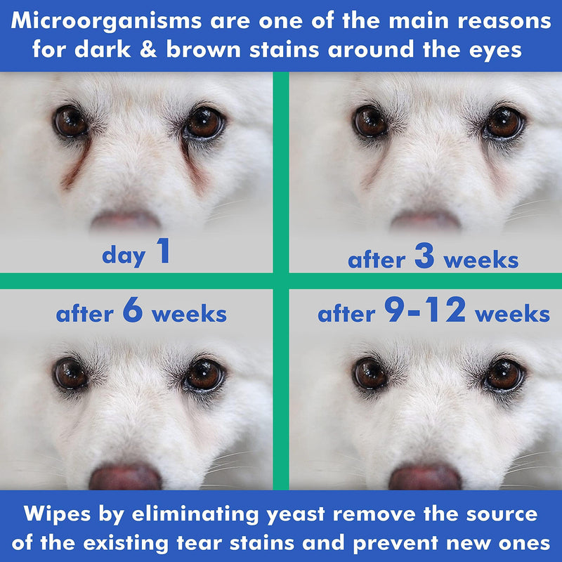 Comparison images showing eye improvement in dogs after 6, 9, and 12 weeks of using the wipes.