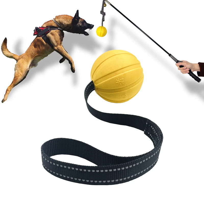 Dog Ball on Rope