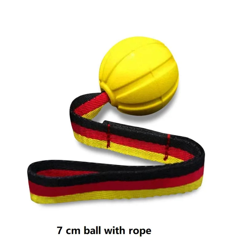 Dog Ball on Rope