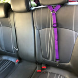 Two-in-One Pet Seat Belt