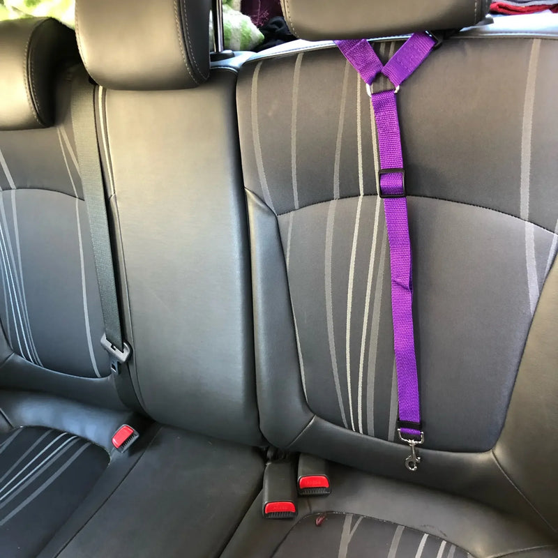 Two-in-One Pet Seat Belt