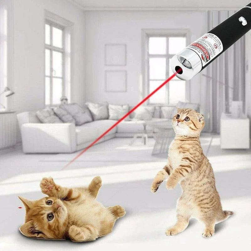 2-in-1 Laser Pointer Toy