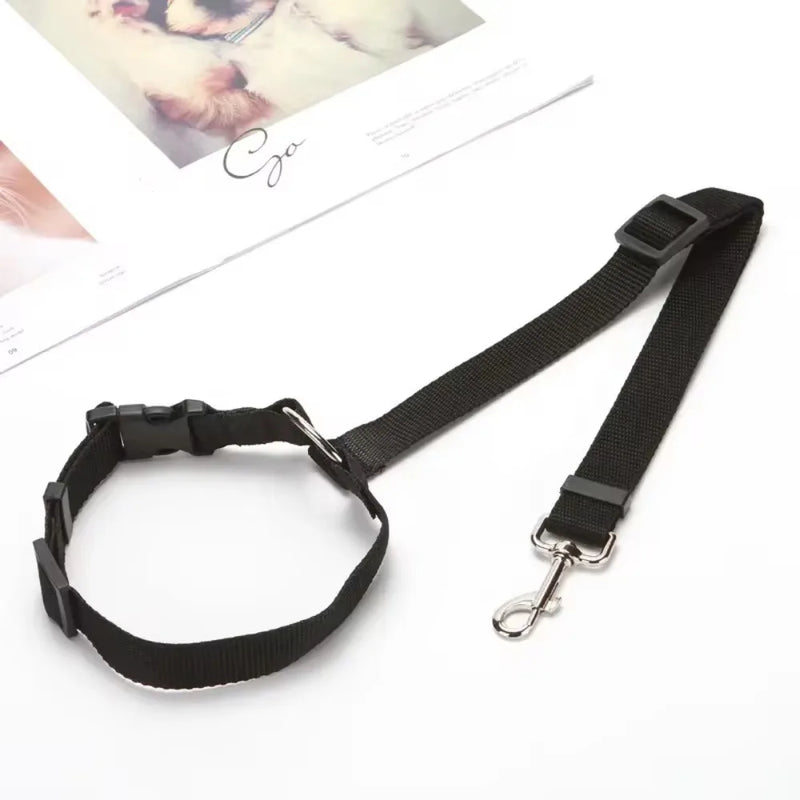 Two-in-One Pet Seat Belt