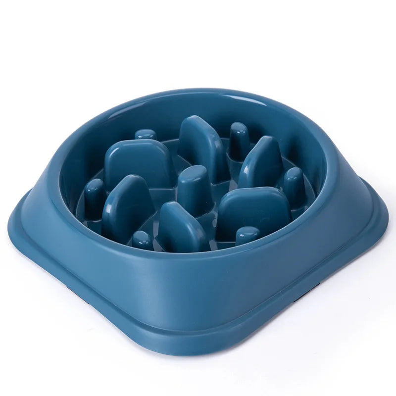 Non-Slip Slow Feeder Bowl