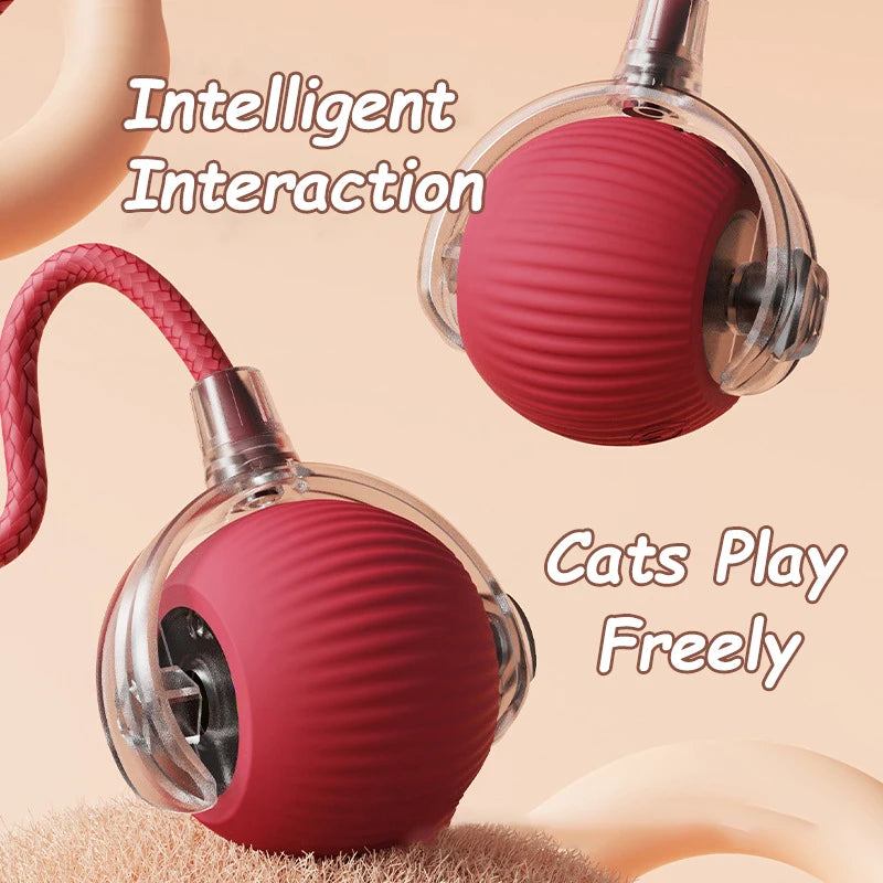 Smart Cat Mouse Toy