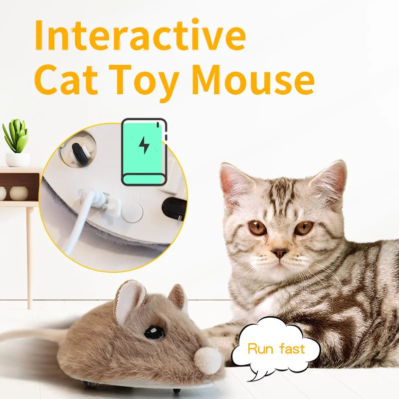 Mouse Cat Toys