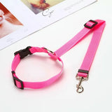 Two-in-One Pet Seat Belt