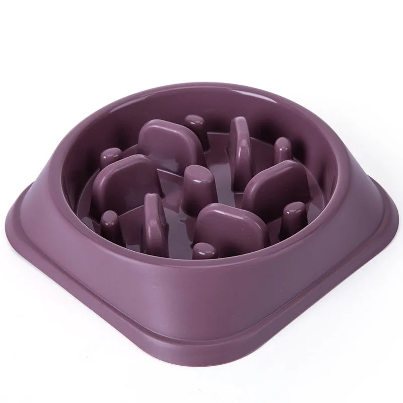 Non-Slip Slow Feeder Bowl