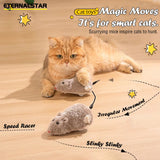 Clockwork Mouse Cat Toy