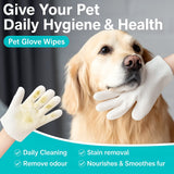 Golden retriever with a person using pet glove wipe, promoting daily hygiene and gentle cleaning