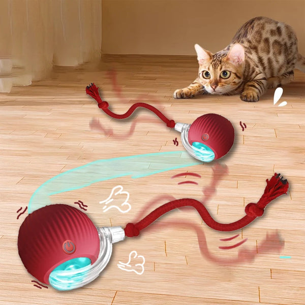 Smart Cat Mouse Toy