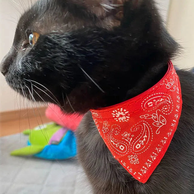 Pet Bandana Collar