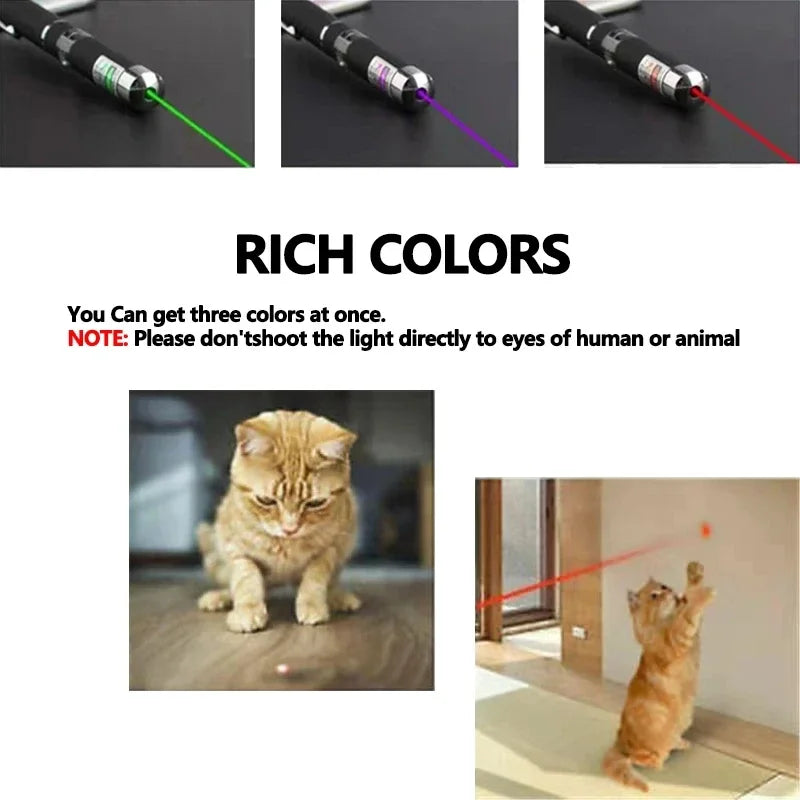 2-in-1 Laser Pointer Toy