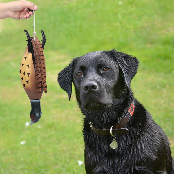 Multipurpose Pet Fetch Toy