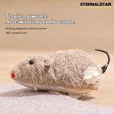 Clockwork Mouse Cat Toy