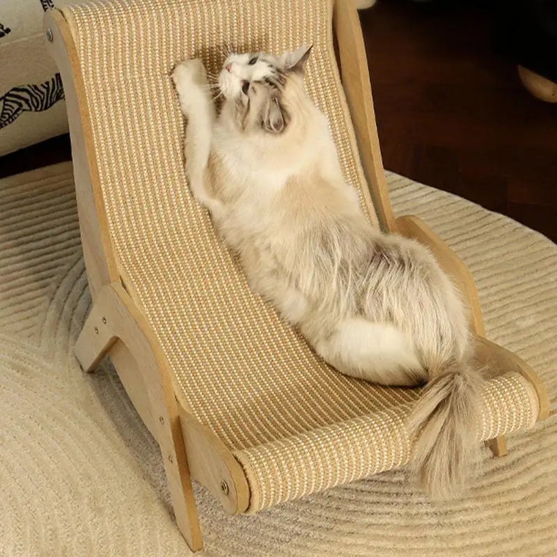 Long-haired cat sitting comfortably on a sisal cat scratch chair