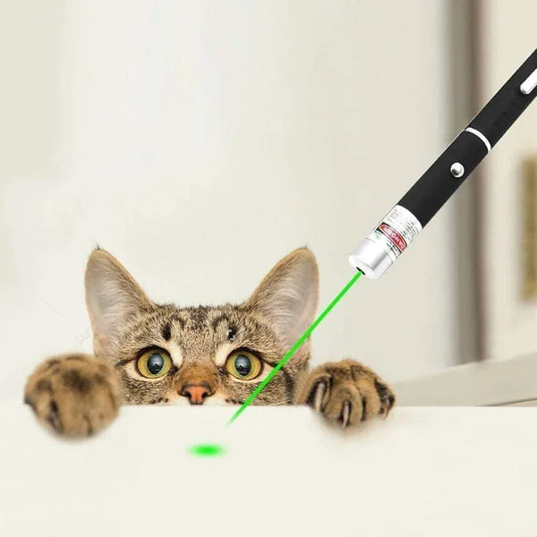 2-in-1 Laser Pointer Toy