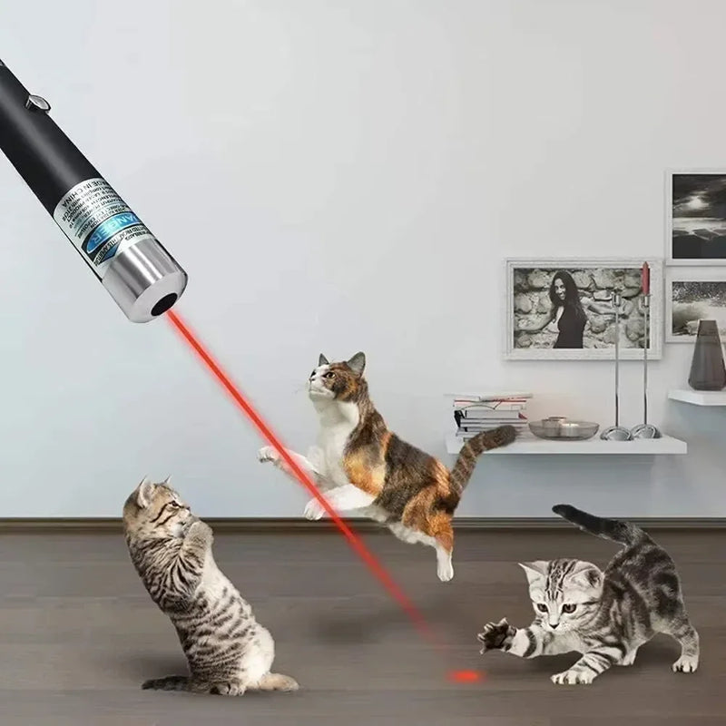 2-in-1 Laser Pointer Toy