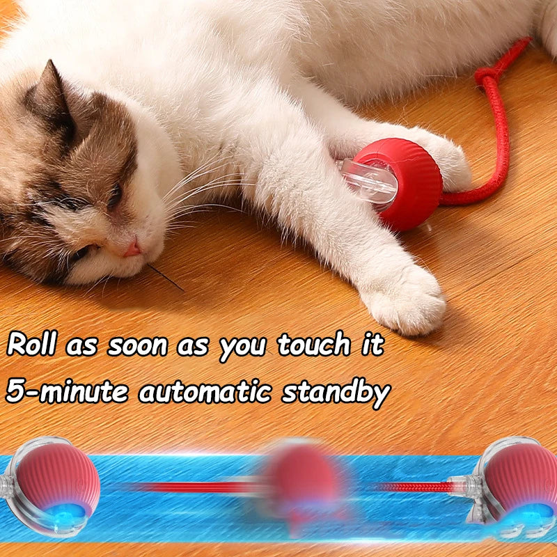 Smart Cat Mouse Toy