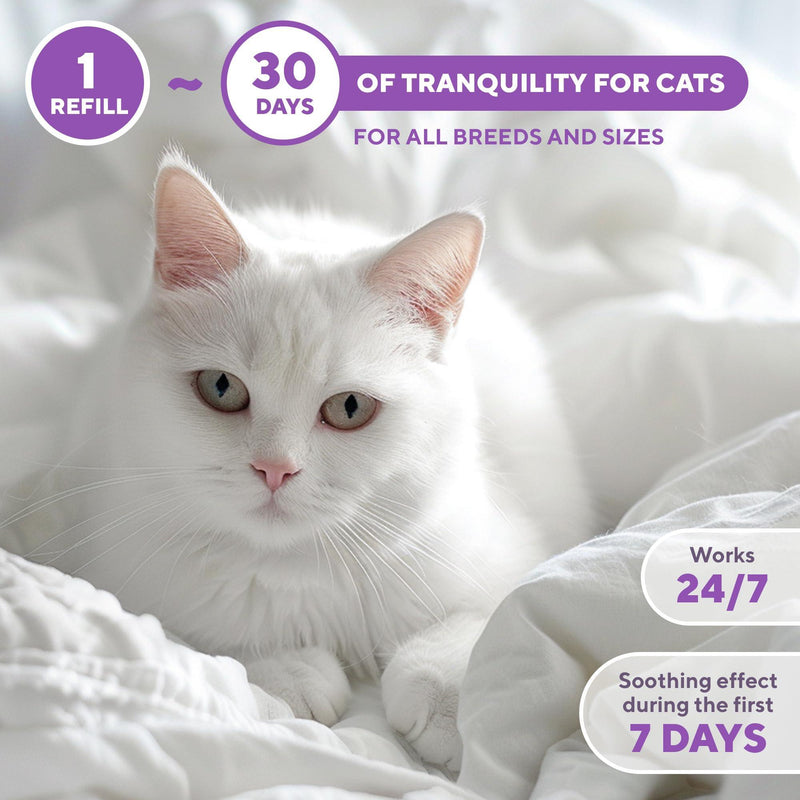 White cat relaxing on a bed, next to icons showing 30-day calming effect and 24/7 continuous coverage