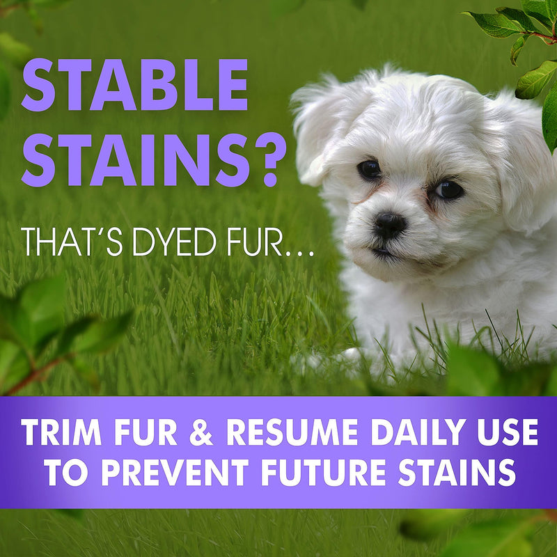 Text image suggesting regular fur trimming and daily product use to prevent tear stains, with a close-up of a white dog