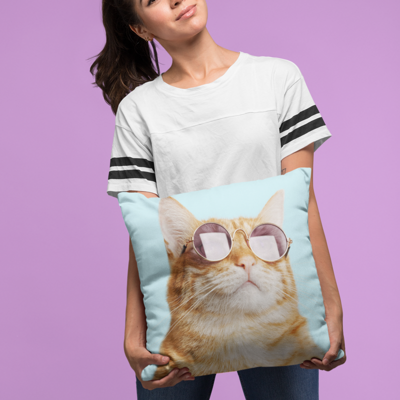 Woman holding cat lover throw pillow featuring cool tabby cat with sunglasses