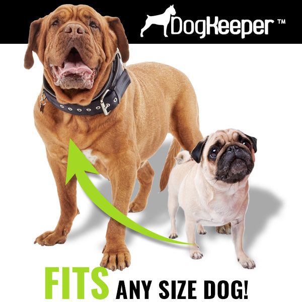 DogKeeper leash holder shown with large and small dogs, labeled as suitable for any size dog