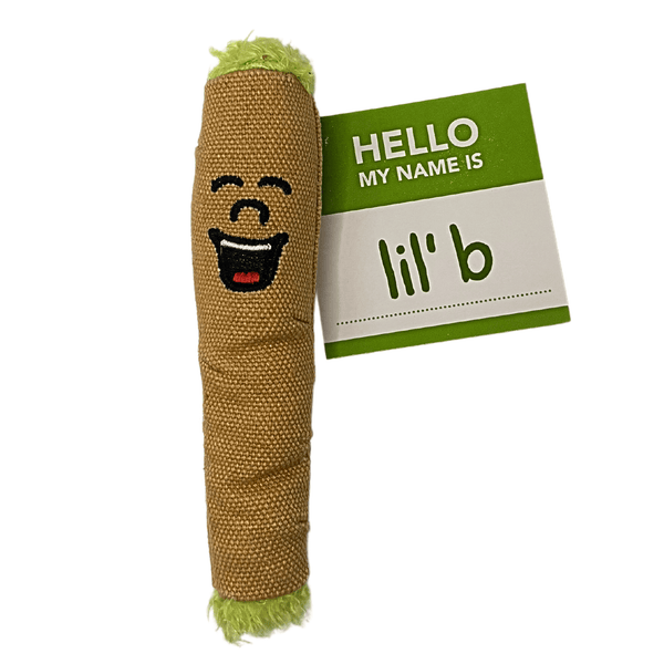 funny cat toy