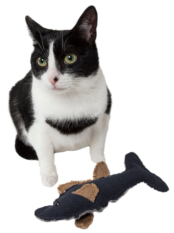 fish cat toy