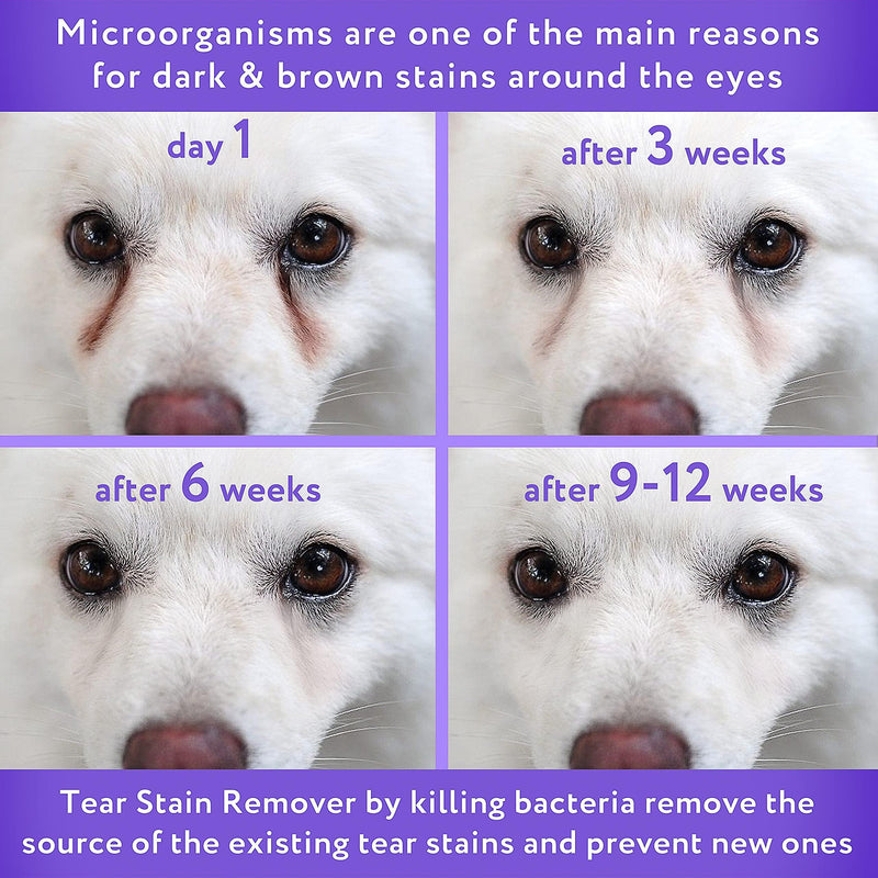 Visual comparison of dog eyes showing improvement in tear stains after 6, 9, and 12 weeks of product use